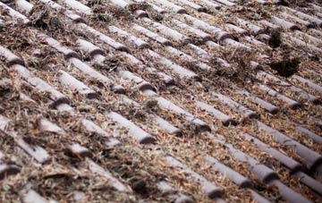 Penrith roof cleaning companies